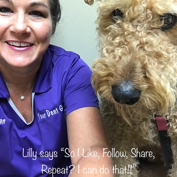 Meet your Posher, Susan - Picture 11 of 16